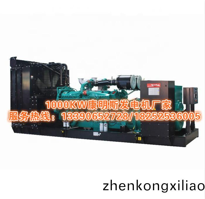 1000KW康明斯(si)髮(fa)電(dian)機廠傢